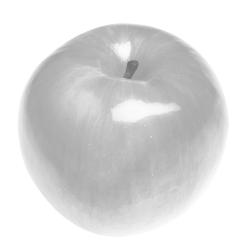neoqlassical:  This is not an apple. It is a wild blogfruit. Reblog it and it blends in with your background. 