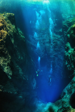 touchdisky:   Diving in a blue dream by Marcio Cabral 