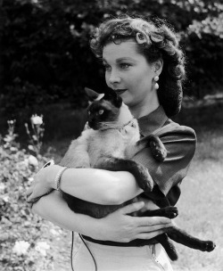 top-hat-white-tie-and-tails:  Old Hollywood actresses + cats