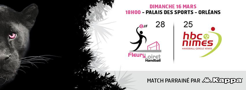 [Handball : Ligue Féminine de Handball, 16éme Journée] : Fleury Loiret Handball 28-25 Handball Cercle Nîmes 1