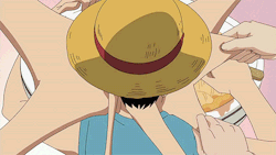 shiroyoh:                             Rule number one:                  Never disturb Luffy when he is eating 