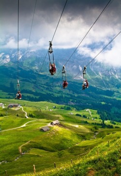 Adventure is calling (ziplining in the Swiss Alps)