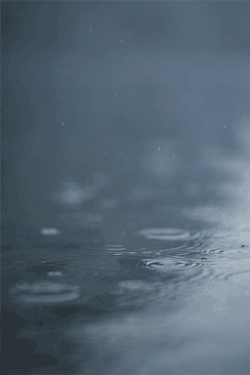teapalm:(Tasha Marie) | Rain