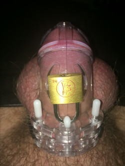 cumtobdsm:  Reddit /r/chastity user KinkyTeddy is caged while waiting for a new silicone cage for longer-term wear. 