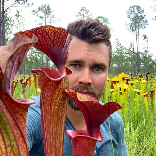 jeremiahsplants:  It’s the middle of January but I’m about ready to go bogging again! This field of Sarracenia flava was stunning! (at Okaloosa)https://www.instagram.com/p/B7XHNXolGJ3/?igshid=1kmw4i72wlbnw