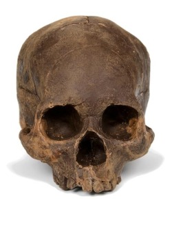 Chocolate Skulls - Edible Solid Dark Chocolate Skull. What better thing to give your zombie sweetheart for valentines.
