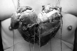 dsauce2:  Am I the only one that knows the stereotypical heart shape was meant to be two hearts fused together? OH MY GOD THAT MAKES SO MUCH SENSE cuz the weird fake heart shape is about love, it’s about TWO HEARTS COMING TOGETHER guys.  whoa. talk
