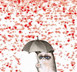 Happy Valentine’s Day! Let a frown be your umbrella!
