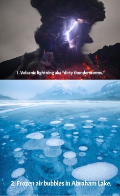 jesus-was-a-gay-hipster:  terra-mater:  15 amazing things in nature you won’t believe actually exist Source  