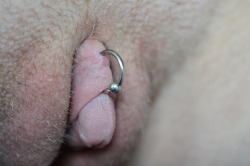 pussymodsgalore  Superbly well developed clit, with a VCH piercing with a ring. That clit is amply large enough to be pierced, though there are risks of possible desensitization with a genuine clit piercing, though I think the bigger the clit is, the