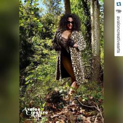 Be sure to check out @avaloncreativearts  where fashion has curves and sex appeal!! Www.facebook.com/Avaloncreativearts. Model is Applebutter @applebuttertreat  Cheetah in the wild @avaloncreativearts @applebuttertreat #cheetah #curves #sexyclassy #exotic