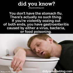 did-you-kno:  Click here for more common health myths ►►►►►► You don’t have the stomach flu. There’s actually no such thing. If you’re violently oozing out of both ends, you have gastroenteritis caused by either a virus, bacteria, or