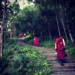 instagram:   A Peek into the Life of a Tibetan Monk with @gdax For a peek into the daily life of Tibetan monk དགེ་འདུན་དབང་ཕྱུག (Gedun Wangchuk), follow @gdax on Instagram. དགེ་འདུན་དབང་ཕྱུག,