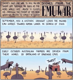 dat-soldier:  shadowmaat:  enrique262:  The disastrous Australian Emu War.  Someone turned it into a comic. YES.   never forget the emu war 