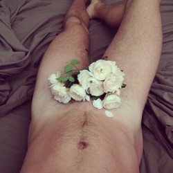 a-fairly-lost-boy:  Damn, I just LOVE flowers. 