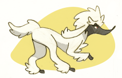 afrofrou:  Pokeddexy challenge, day 13: Favourite normal pokemon Furfrou I’ve been waiting so long for a poodle pokemon and we’ve finally got one and I love it 