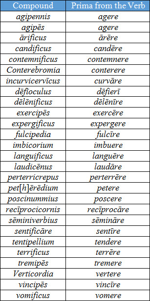 Latin Word Formation 91