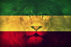 ganjamarleysmokesganja:  Rasta, One Love, Jah Bless, Zion Lion | via Facebook on We Heart It. http://weheartit.com/entry/60796169 