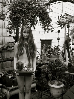 stones38: Nude with Cactus   Model is Brianna Fern of MM 