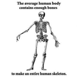 silver-tie:  monetizeyourcat:  barefootmarley:  scientific fact  how the fuck is this true. there are many people with less than a complete human skeleton. this requires that some people have more bones than an entire skeleton, or perhaps for one person