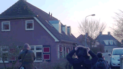 becausebirds:  Dutch “Cuddly Owl” finally caught on video. This bird has been cuddling the citizens of this town for a while. It likes to land and stomp on people’s heads.Watch the video