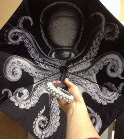 clockverk:  covered-in-ovaries:  nerdofages:  i require this  If someone can please tell me where i can get this I will love you forever and ever  http://www.krakenrumstore.com/products/the-kraken-umbrella In case you were still looking. 
