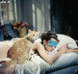 audreyhepburnforever:  Audrey as Holly Golightly with Cat in ‘Breakfast At Tiffany’s’ (1961).