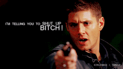 crossroadscastiel:  bad-wolfies:  ktsufish:  lil-nerdy-dude-with-wings:  imnotatrendyasshole:  This is how I feel when people start talking Destiel.  #destiel #stupid fans #why can’t people just enjoy the show without begging for gay sex Was it really