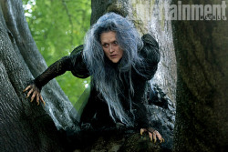 hannahorvath:  First look at Meryl Streep as The Witch in Into The Woods 