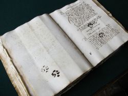 medieval:   Curious Cat Walks Over Medieval Manuscript Inky paw prints have been discovered in a 15th century manuscript.          