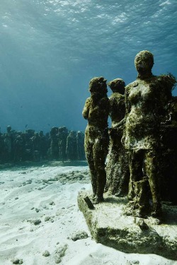 asylum-art:An Underwater Museum with SculpturesEn 2009, dans l’océan de Cancun, le sculpteur Jason deCaires Taylor a conçu une sorte de musée sous l’eau, en installant des sculptures quasi-mythologiques au milieu des requins. La photographe anglaise