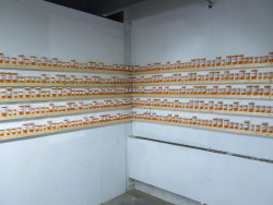 mondaynightswithcupsofcoffee:   This is a sculpture project I recently finished. The assignment was called shelter, so I decided to show how I felt in mine. I took over 1000 pill bottles and relabeled them to say things people have said to me to