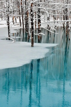 bluepueblo:  Blue Pond, Hokkaido, Japan photo via mental 