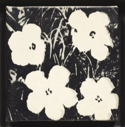 nobrashfestivity:   Andy Warhol, Flowers 1965 more 
