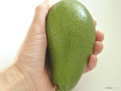 wikihow:  Grow Your Own Avocados at Home?It’s easy!Learn how: Grow an Avocado as a Houseplant.