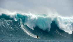 Catch a wave (surfing near Prevelly, Western Australia)