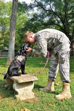 menandtheirdogs:    Dog Bless You  The human-animal bond : a warrior trainer and service dog at Warrior Canine Connection.   