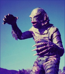 1950sunlimited:  The Creature Creature From the Black Lagoon, 1954 