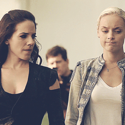 Brazenwood | All Things Valkubus - A Tamsin & Bo Fansite