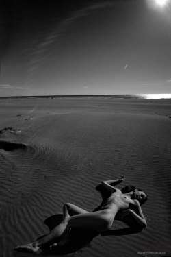  SAND-DUNE by ALEX BERKUN on photodom.com