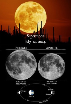 fromquarkstoquasars:  There are a lot of myths that surround the supermoon. With the impending doom of this weekend’s supermoon, learn what we need to do to survive this tragedy, http://bit.ly/U779Q5