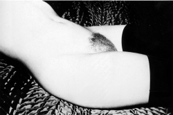 onlyoldphotography:  Ralph Gibson: Torso with stockings, 1979 