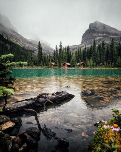 upknorth:  In cabin company.Rainy days in the Rockies. Lake O’Hara by @jamieout | Follow us @upknorth
