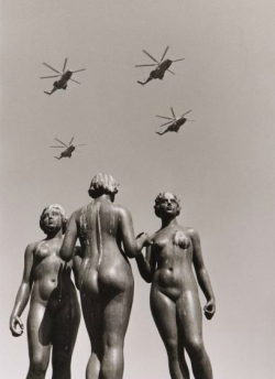 mpdrolet:  Jardin des Tuileries, Paris, 1972 Robert Doisneau 