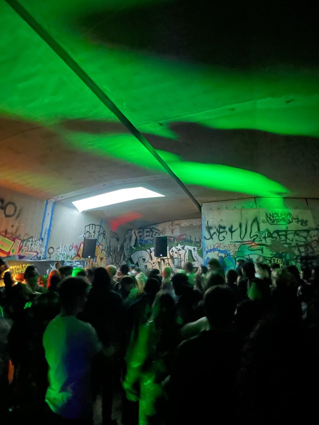 Organised a rave under a bridge