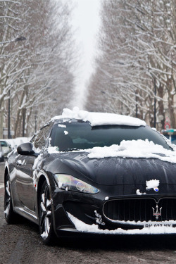 italian-luxury:  Maserati playing in the snow