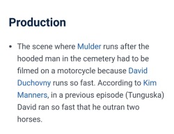 kalyayev: sewerhawk: According to official X-Files trivia, David Duchovny runs faster than a horse… I want to believe 