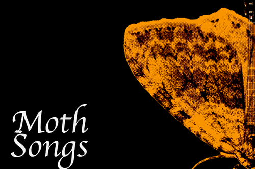 Moth Songs