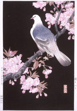 elegyonmars:  Cherry Blossoms and Pigeon Nishimura Hodo, 20th Century Artwork via LACMA  