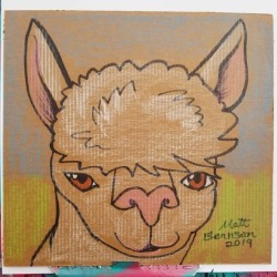 Alpacas are goofy and adorable, and alpaca fur is super comfy!   Drawing caricatures at the Tiny House Festival in Beverly, MA today!    Mass Tiny House Festival North Shore Music Theatre 62 Dunham Rd, Beverly, MA Oct 20 - TODAY! 10am-6pm  =============